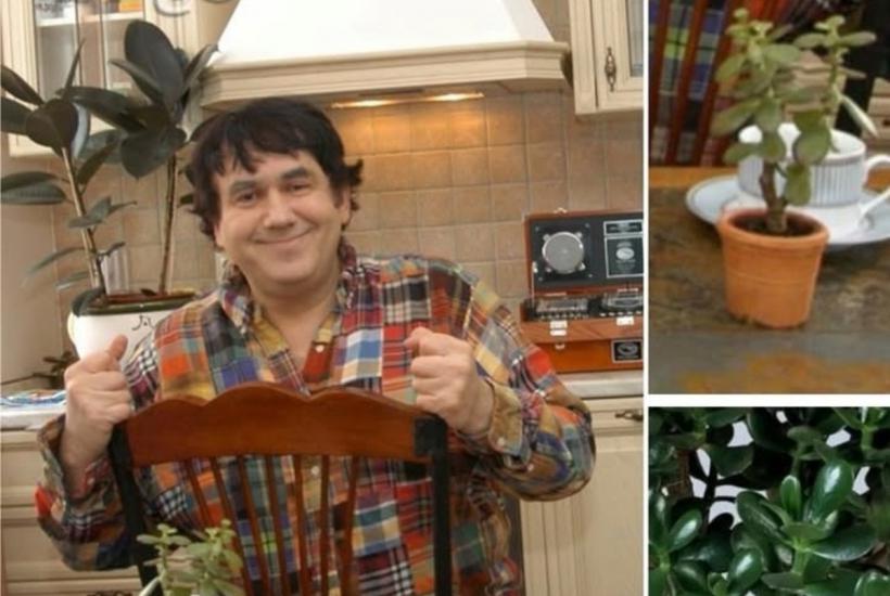 Актёр Станислав Садальский