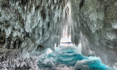 Ожившие коловратки клонируют себя бесполым способом — исследователь Стас Малавин