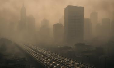 Мелкие частицы — большие проблемы: как загрязнённый воздух провоцирует агрессивный рак груди