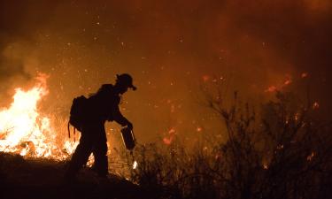 Лесные пожары бушуют в Испании и Португалии на фоне палящей жары
