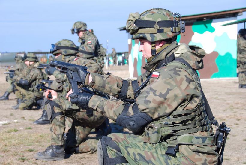 Польская армия