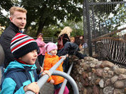 Москвичей просят приносить в зоопарк желуди