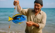 В Черном море у Крыма зафиксировано более 25 видов нетипичных рыб