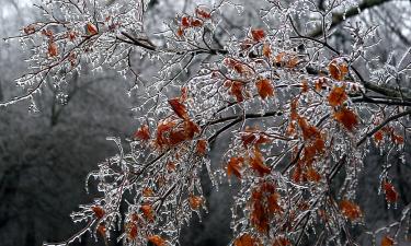 Москву ждёт не краткая "зимняя пауза", а полноценная морозная серия — синоптик Ильин