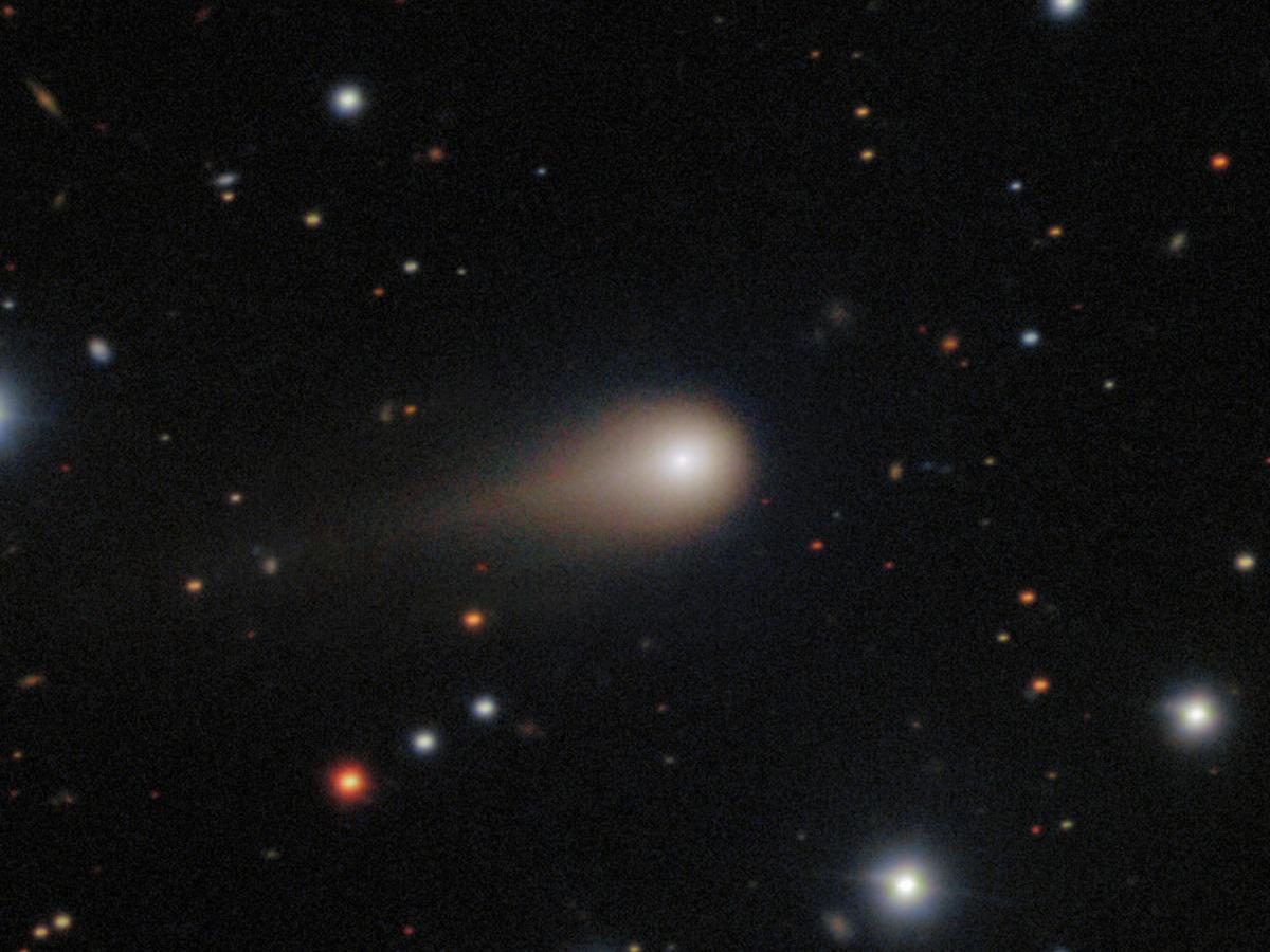 Астрономы Гарварда анализируют необычное поведение межзвёздной кометы 3I/ATLAS