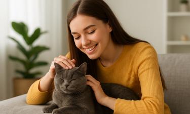 Лапы и область усов кошки обладают высокой чувствительностью — Белновости