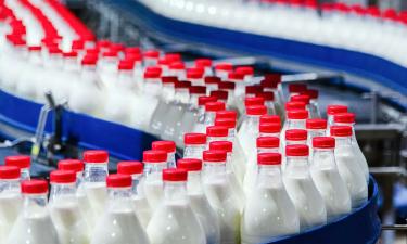 Суд Карелии отказался накладывать арест на имущество Олонецкого молкомбината