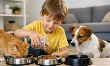 Учёные предложили новую формулу расчёта возраста собаки