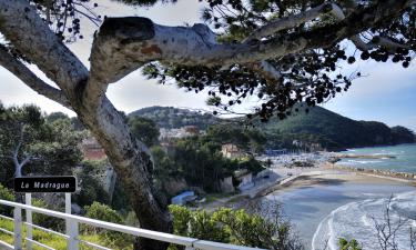 Жемчужина Ла Манша: эта нормандская деревня поражает своей красотой