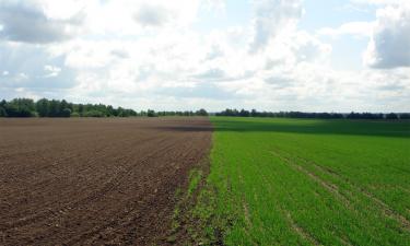 Свой дом вместо тесной клетки: пермские власти выставили на торги десятки пустых участков