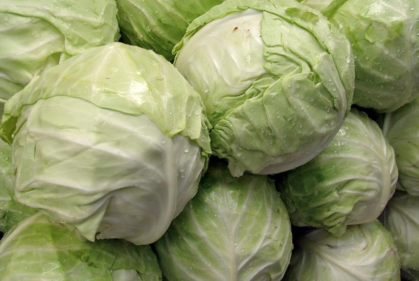 Белокачанная капуста