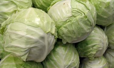 Мороз усилил вкус зимних овощей на огороде — Mein Schoener Garten