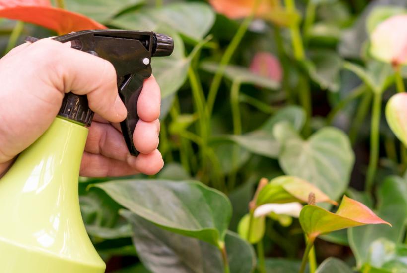 Пальмы формируют визуальный центр просторных комнат — Mein Schoener Garten