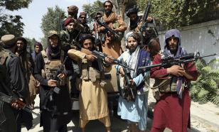 Афганский посол: талибы* намерены уничтожить лидера сопротивления Ахмада Масуда