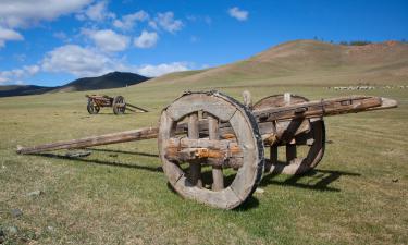 Египтяне не додумались: колёса могли изобрести для решения неожиданной проблемы