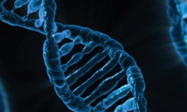 Генетический код под контролем: как ошибки в яйцеклетках влияют на здоровье будущего ребёнка