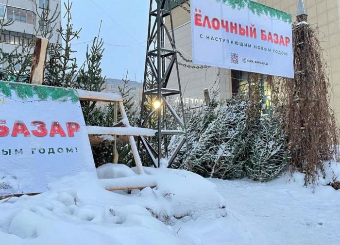 Для экологии искусственная ёлка в 37 раз вреднее натуральной