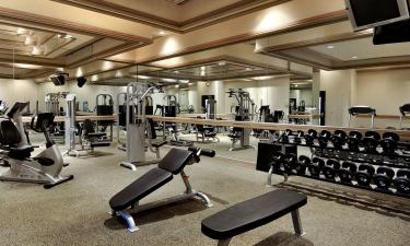 Гантели против тренажёров: спор десятилетий завершён — победителя назвали учёные