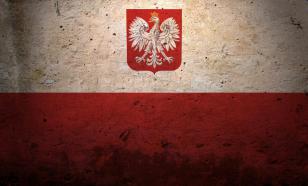 Энергетик Юшков объяснил, зачем Польша озаботилась военной защитой газопровода Baltic Pipe