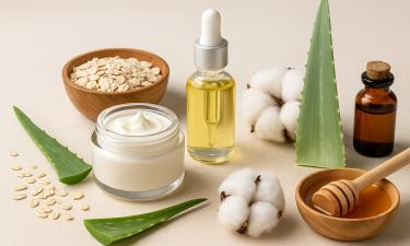 Польза алоэ вера в уходе за кожей и правила его применения — дерматологи