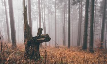 Фильм "Сны поездов" основан на повести Дениса Джонсона