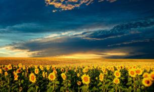 Всемирный банк выделит Украине займ в $200 млн