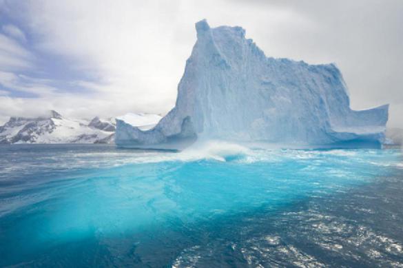 Столичных школьников приглашают на экспедицию в Арктику