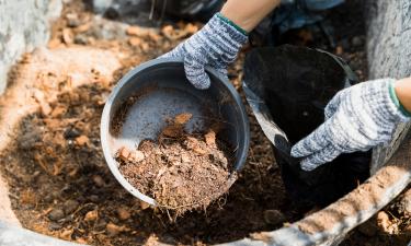 Осенние дожди вызывают переувлажнение компостной кучи