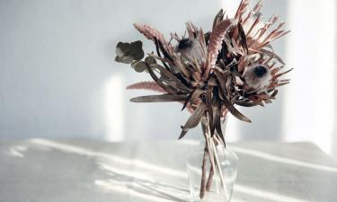 В икебане используют минимум растений — Сiceksel