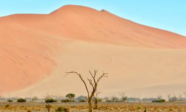 Россия предложила математически точно определить сумму западных репараций Африке