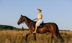 Верховая езда для новичков
