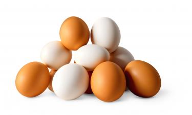 Куриные яйца с секретом: что на самом деле влияет на содержание витамина D