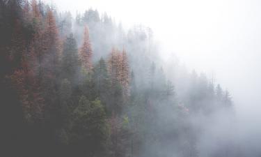 Серьёзный урок для его души: Катя Лель рассказала, что чувствует своего бывшего мужа между мирами