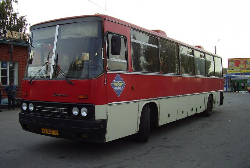 Автобус Ikarus-250