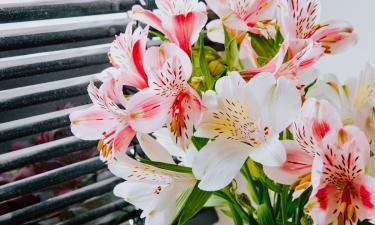 Поклонники рядом, но ни один не подходит: вот какого мужчину Катя Лель впустила бы в своё сердце