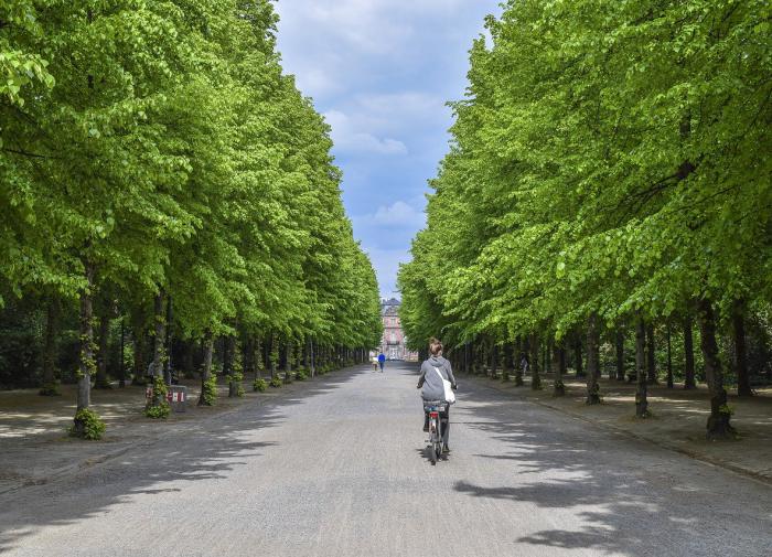 Застройщик благоустроил первую очередь парка "Событие" в Раменках