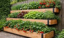 Стена греет, кормит и украшает: вертикальные грядки меняют правила дачного дизайна