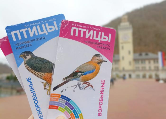 Искусственные гнездовья для птиц установят на "Роза Хутор"