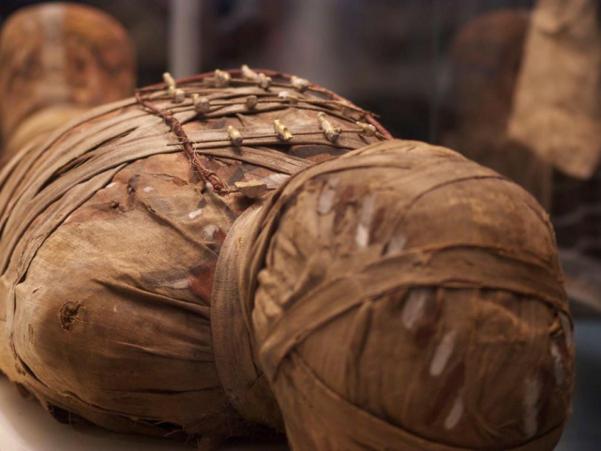 Лицо с секретом: 800-летняя мумия раскрывает шокирующие тайны прошлого