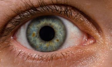 Мушки перед глазами есть у всех людей — офтальмолог Куренков