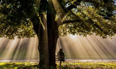 Каждый бы хотел такую терапию: Быть Эрикой — сериал, в котором можно прожить свои ошибки ещё раз