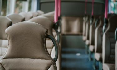 Бесплатный транспорт для детей разделил мнения: Милонов за контроль, а не за свободу