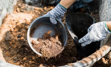 Навоз от чужих животных — как он может превратить ваш сад в кладбище растений