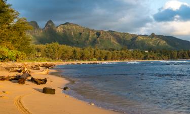 Большой остров, Мауи и Оаху на Гавайях подходят для спокойного отдыха — New York Post