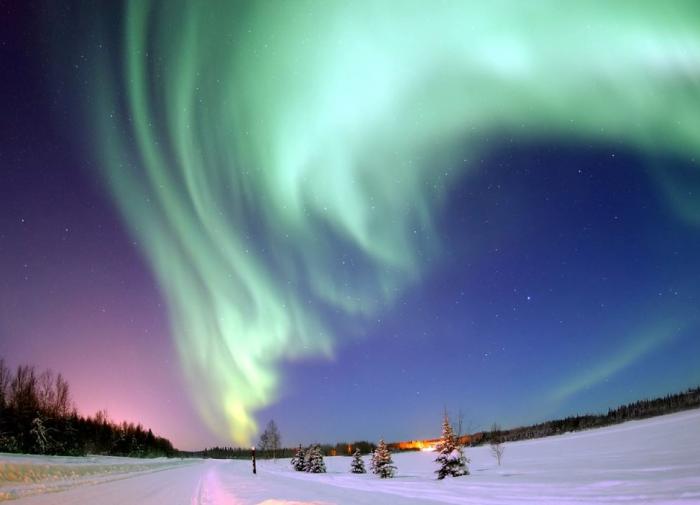 Ученые США обнаружили останки млекопитающего Sikuomys mikros на Аляске