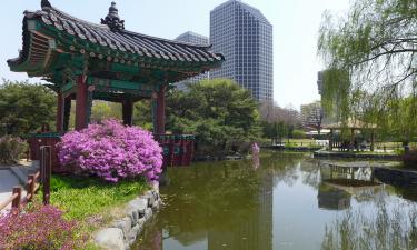 Грязь и странные привычки местных: россиянка рассказала о настоящей жизни в Южной Корее