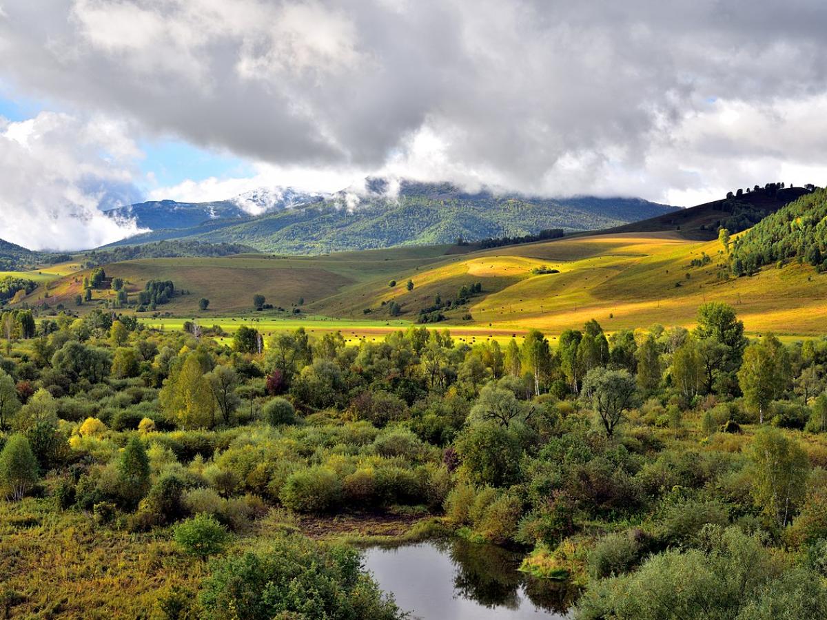 Алтай лечит алгоритмами: Белокуриха учит нейросеть отличать отдых от переутомления