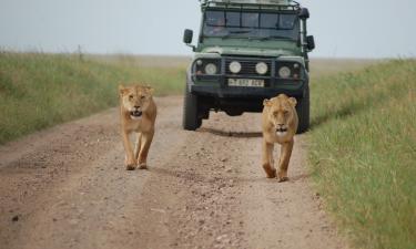 Возвращение "большой пятёрки": где в Африке возродилась дикая природа