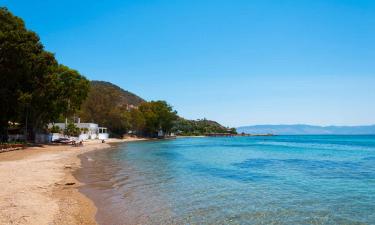 Белек сохранил статус спокойного курорта премиум-формата — туристы