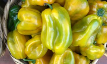 Болгарский перец укрепляет сосуды пожилых людей — диетолог Гинзбург